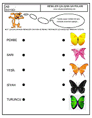 okul öncesi kavram gelişim çalışmaları, renk kavramı, renkleri eşleştir çalışmaları